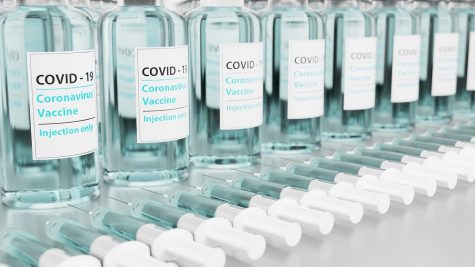 An End in Sight? A Look Into the Coronavirus Vaccine