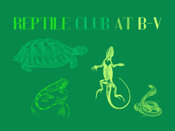New Reptile Club Hatches at B-V