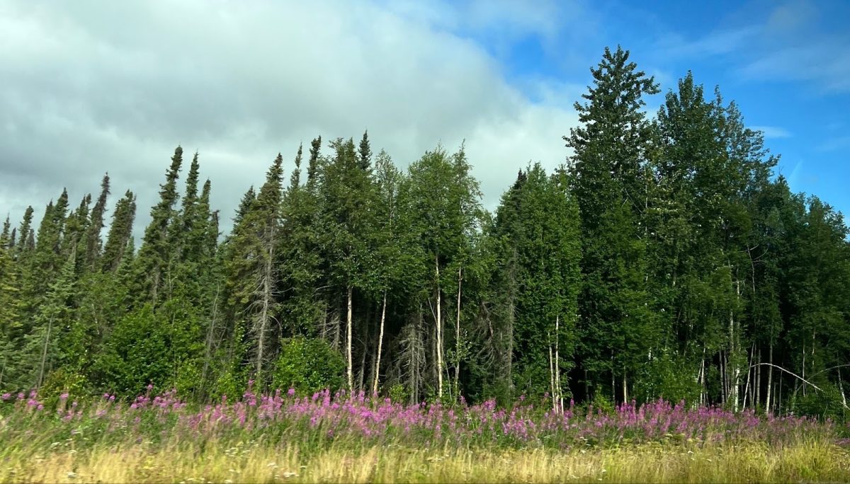 Alaska: The Last Frontier